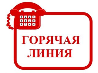 Горячая линия по вопросам качества и безопасности детских товаров, выбору новогодних подарков открыта в Управлении Роспотребнадзора по Алтайскому краю.