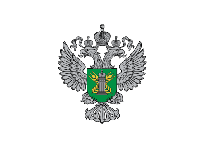 22 тонны казахстанских арбузов с карантинной дынной мухой выявили специалисты Алтайского филиала ЦОК АПК.